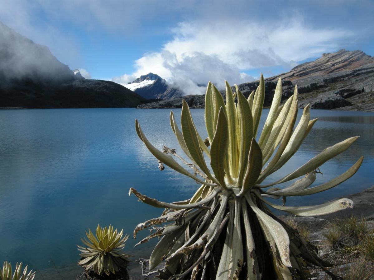 Hostal El Caminante El Cocuy Luaran gambar